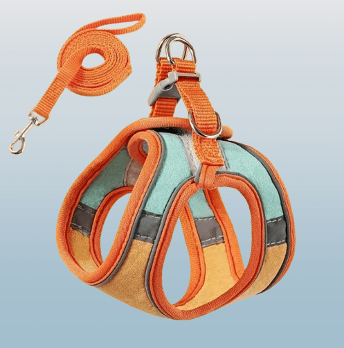 Adjustable Harness and Leash