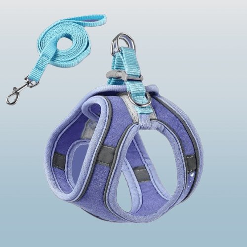 Adjustable Harness and Leash