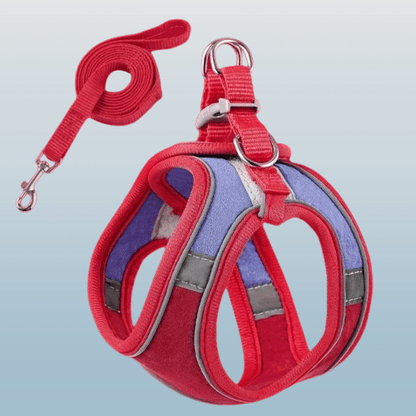 Adjustable Harness and Leash