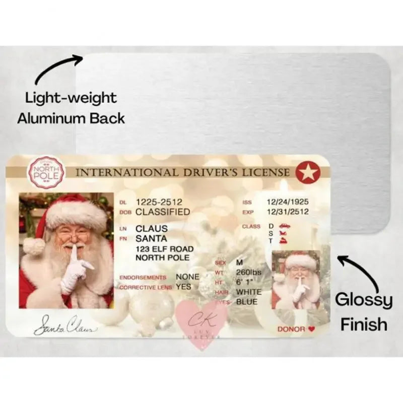 Santa’s Magical Sleigh Licence