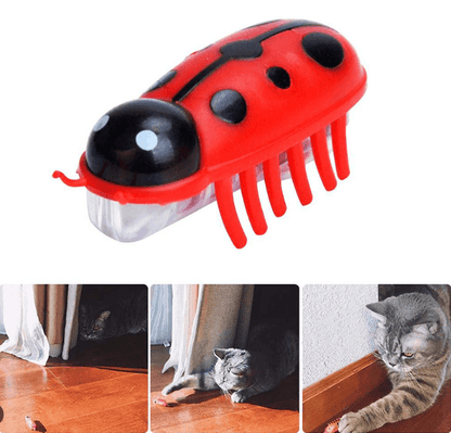 Electric Cat Toy Bug