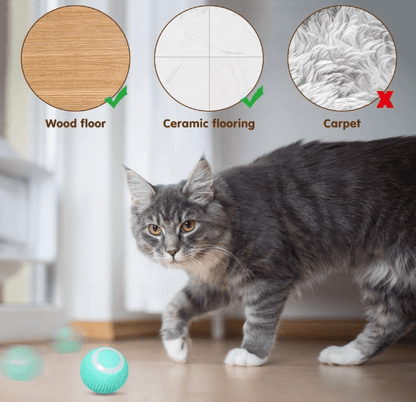 Interactive Cat Toys Ball 360°